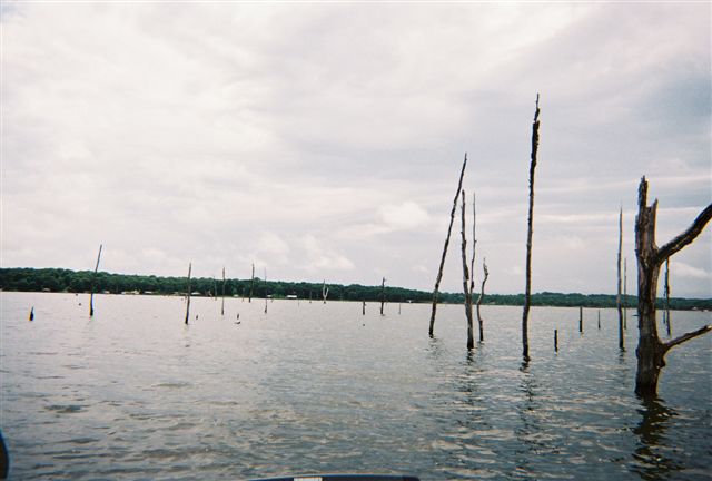 011.jpg